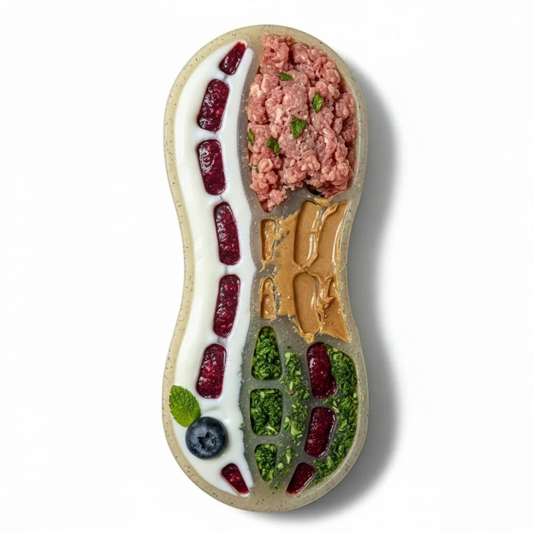 The SodaPup Peanut EChew Ultra Durable Nylon Dog Chew Toy, shaped like an oval dish, holds yogurt with berries, ground meat, peanut butter, chopped greens with herbs, and a blueberry with mint leaf in neatly separated sections on a white background.