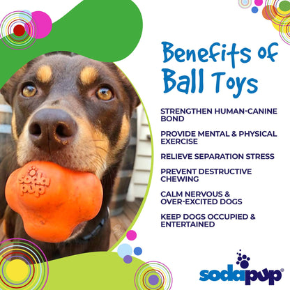 Discover the immense benefits of SodaPup's Crazy Bounce Ultra Durable Rubber Chew & Retrieving Toy, perfect for power chewers.