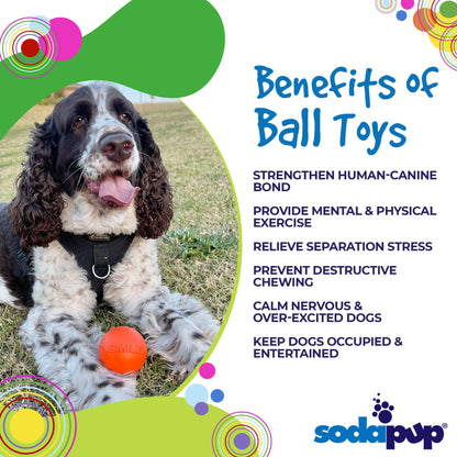 Discover the benefits of SodaPup's Smile Ball Ultra Durable Synthetic Rubber Chew Toy & Floating Retrieving Toy for power-chewers and how they FLOAT, providing endless fun for your dog.