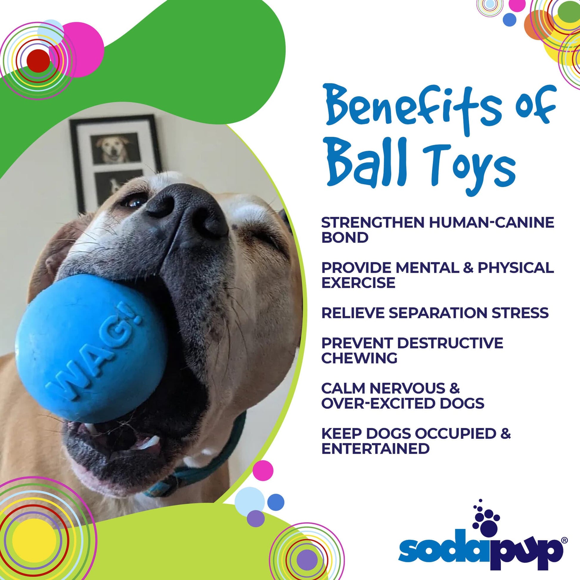 Discover the incredible benefits of SodaPup's Wag Ball Ultra Durable Synthetic Rubber Chew Toy & Floating Retrieving Toy - Large - Blue for power-chewers that also float!