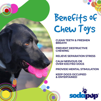 Discover the exceptional benefits of SodaPup Paw Print Ultra Durable Nylon Dog Chew Toys for avid chewers.