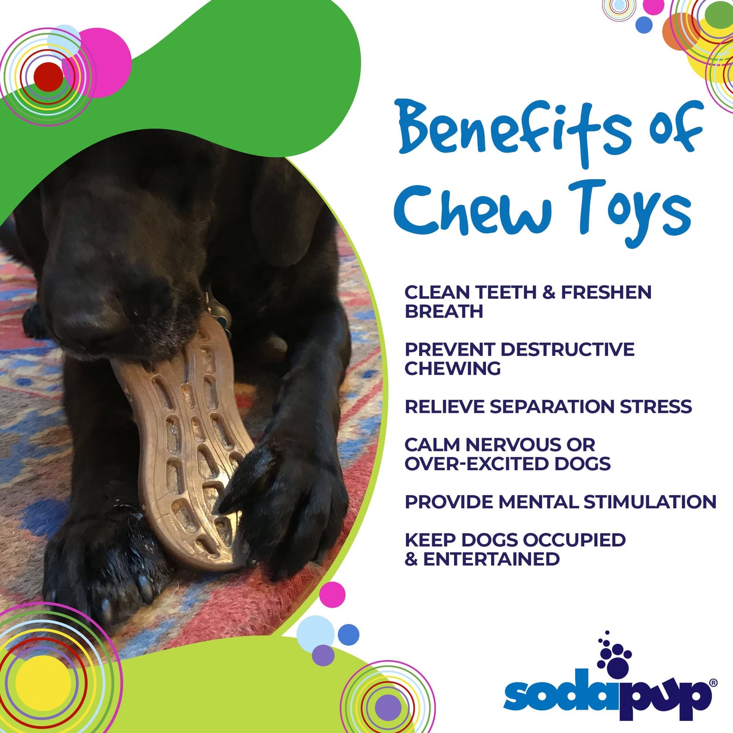 A black dog enjoys a Peanut EChew Ultra Durable Nylon Dog Chew Toy from SodaPup, with text highlighting the benefits: clean teeth, prevent destructive chewing, relieve stress, calm dogs, provide mental stimulation, and keep power chewers entertained. The background features vibrant green, purple, and blue accents.