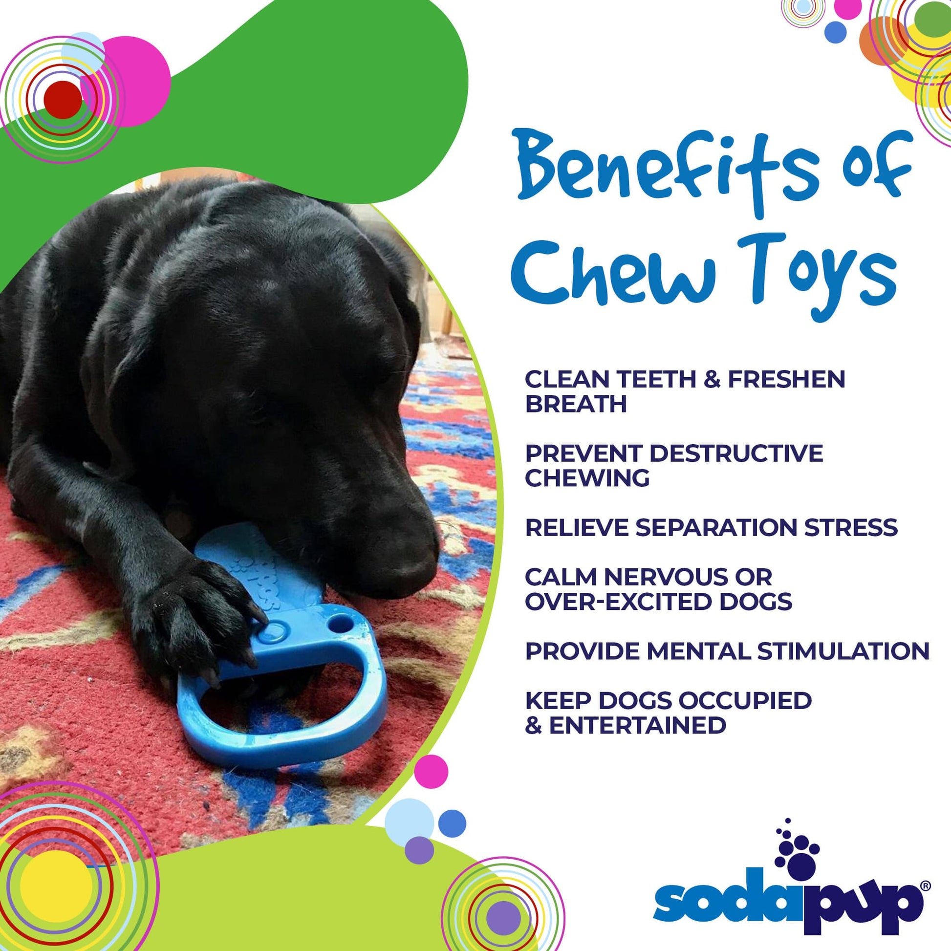 Discover the incredible benefits SodaPup Pop Top Pull Tab Ultra Durable Nylon Dog Chew Toy offers to problem behaviors and avid chewers.