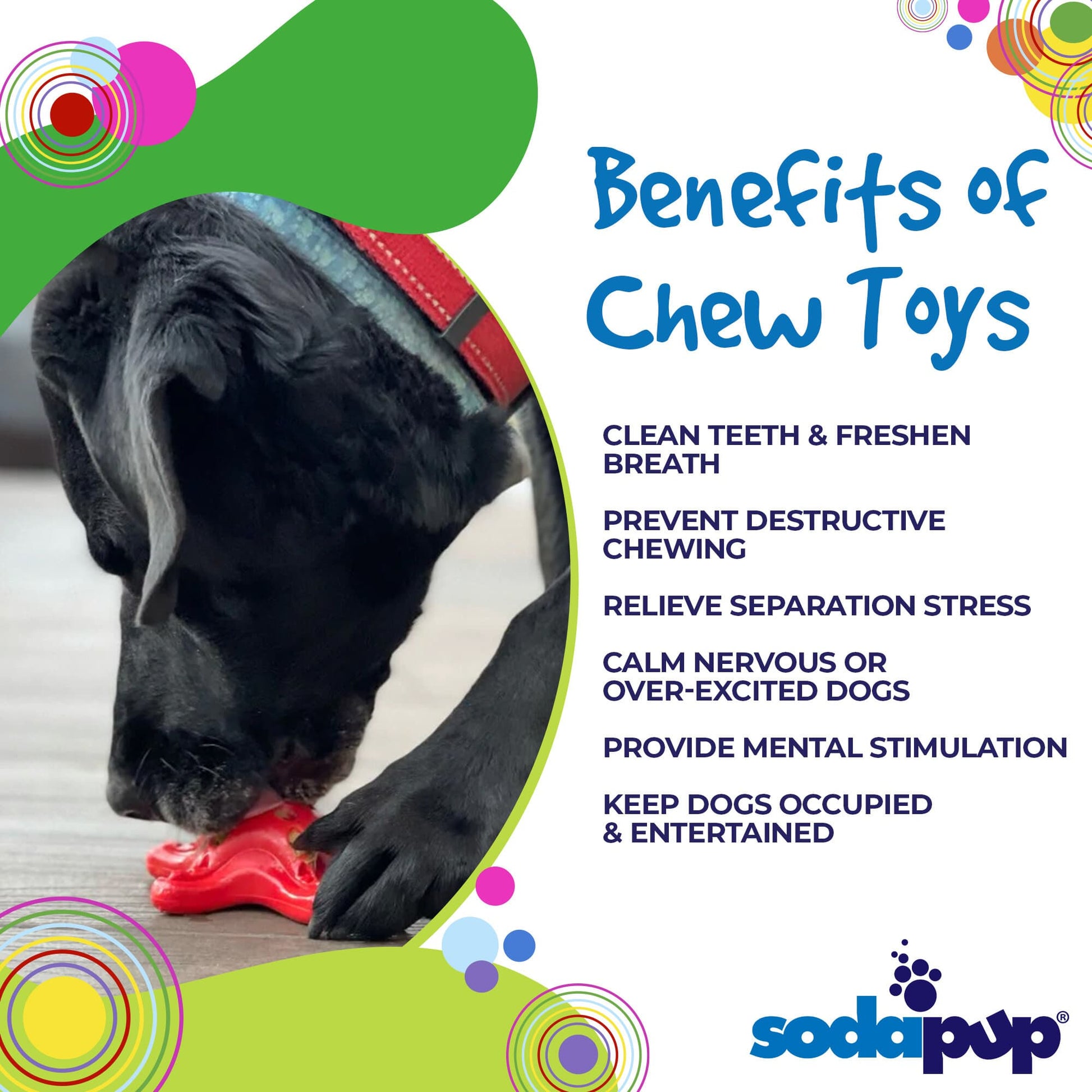 A SodaPup Starfish Ultra Durable Nylon Dog Chew Toy for Aggressive Chewers showcasing the benefits of chew toys for dogs.