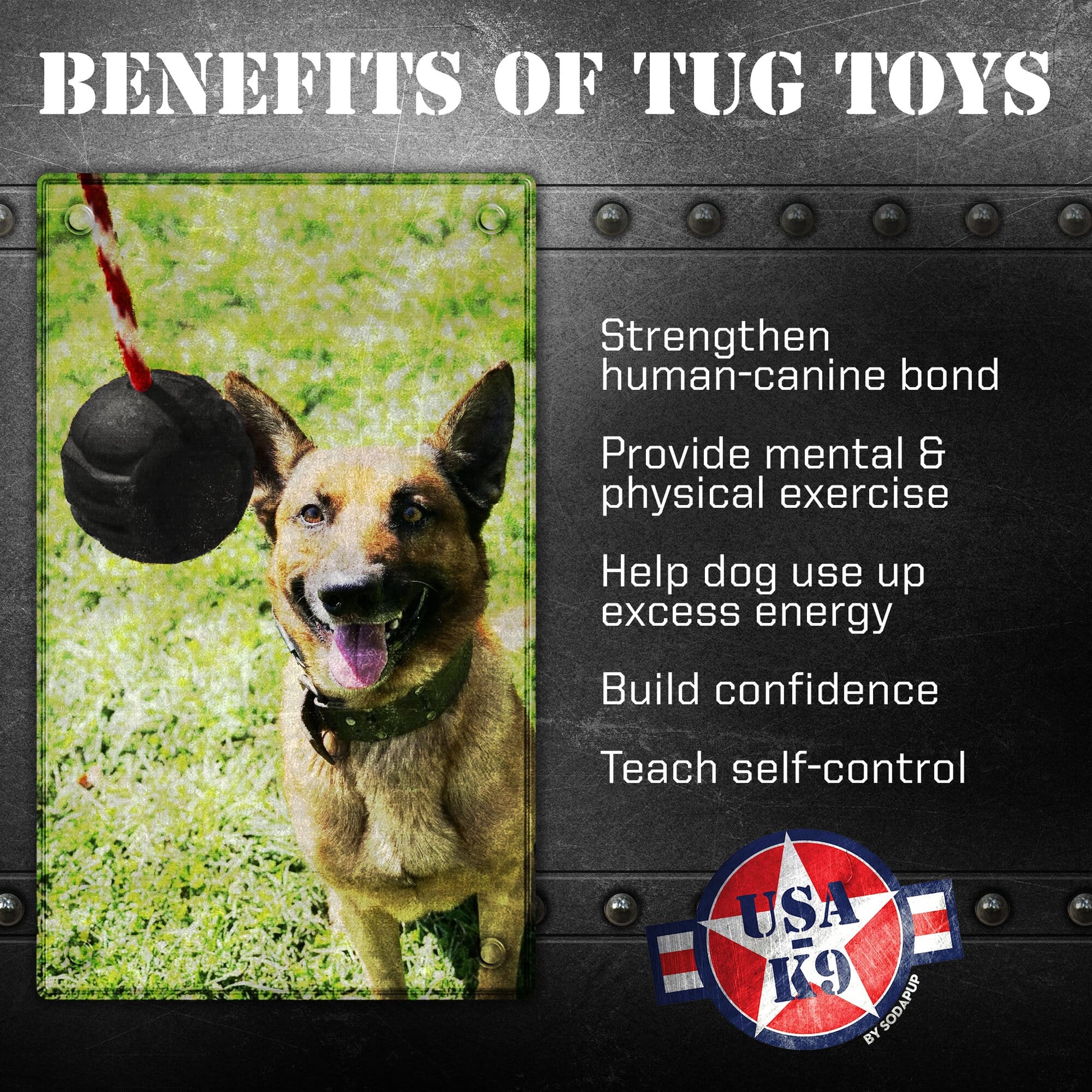 A picture of a dog enjoying the benefits of the SodaPup USA-K9 Magnum Black Stars and Stripes Ultra-Durable Rubber Chew Toy, Reward Toy, Tug Toy, and Retrieving Toy - Black, ideal for power-chewers and large dogs.