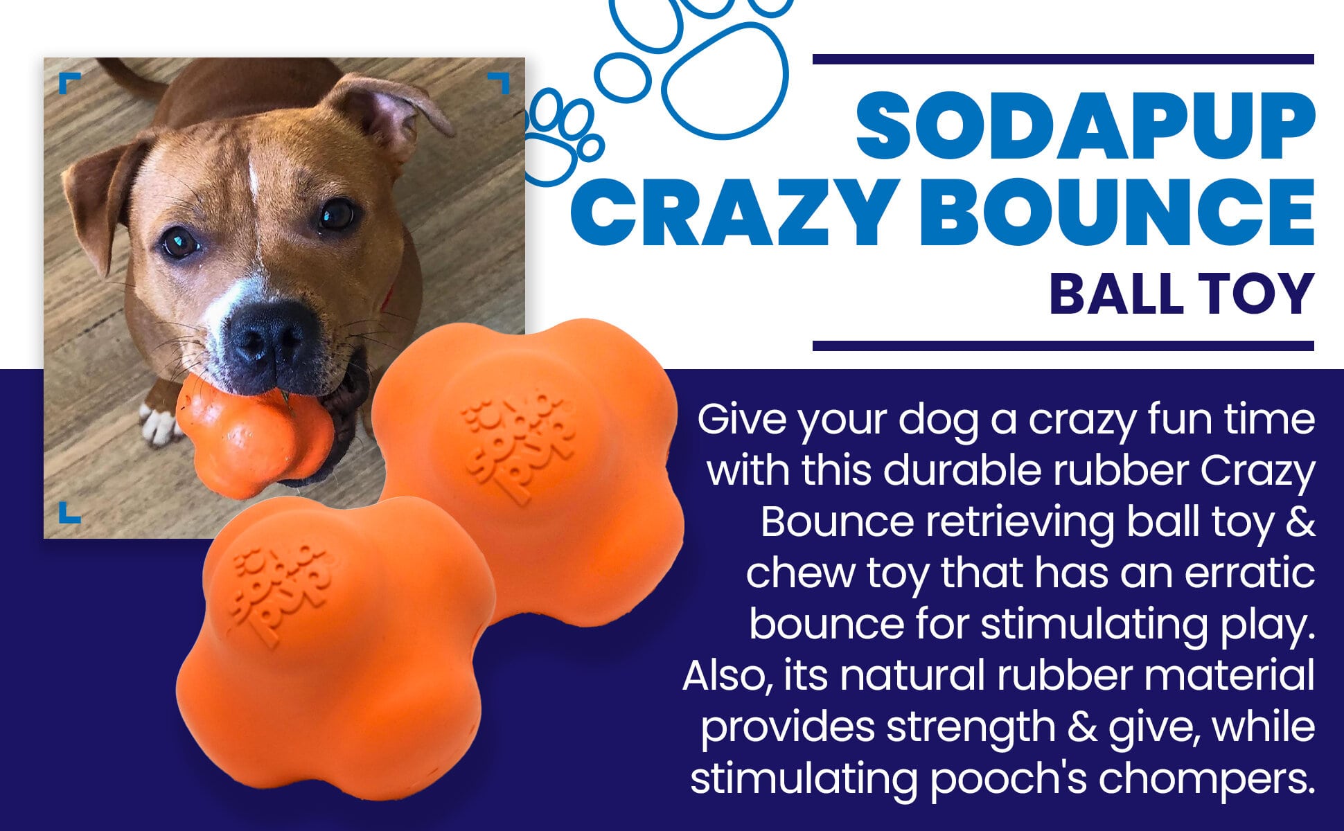 SodaPup Crazy Bounce Ultra Durable Rubber Chew & Retrieving Toy is a stimulating and entertaining toy designed specifically for power-chewers.