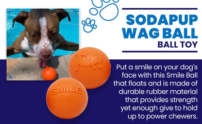 A power-chewer dog is playing with a SodaPup's Smile Ball Ultra Durable Synthetic Rubber Chew Toy & Floating Retrieving Toy.