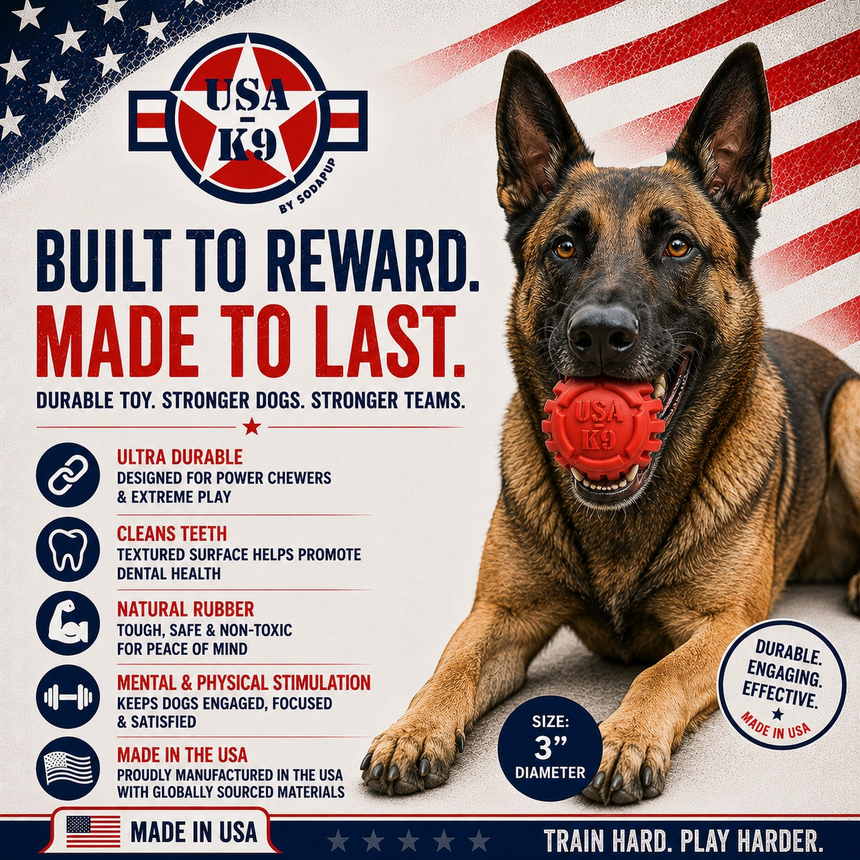 A Belgian Malinois grips a red, textured USA-K9 Stars and Stripes Ultra-Durable Rubber Chew Ball by SodaPup, made in the USA from natural rubber. This patriotic toy cleans teeth and delivers mental and physical stimulation.