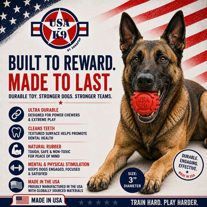 A Belgian Malinois grips a red, textured USA-K9 Stars and Stripes Ultra-Durable Rubber Chew Ball by SodaPup, made in the USA from natural rubber. This patriotic toy cleans teeth and delivers mental and physical stimulation.