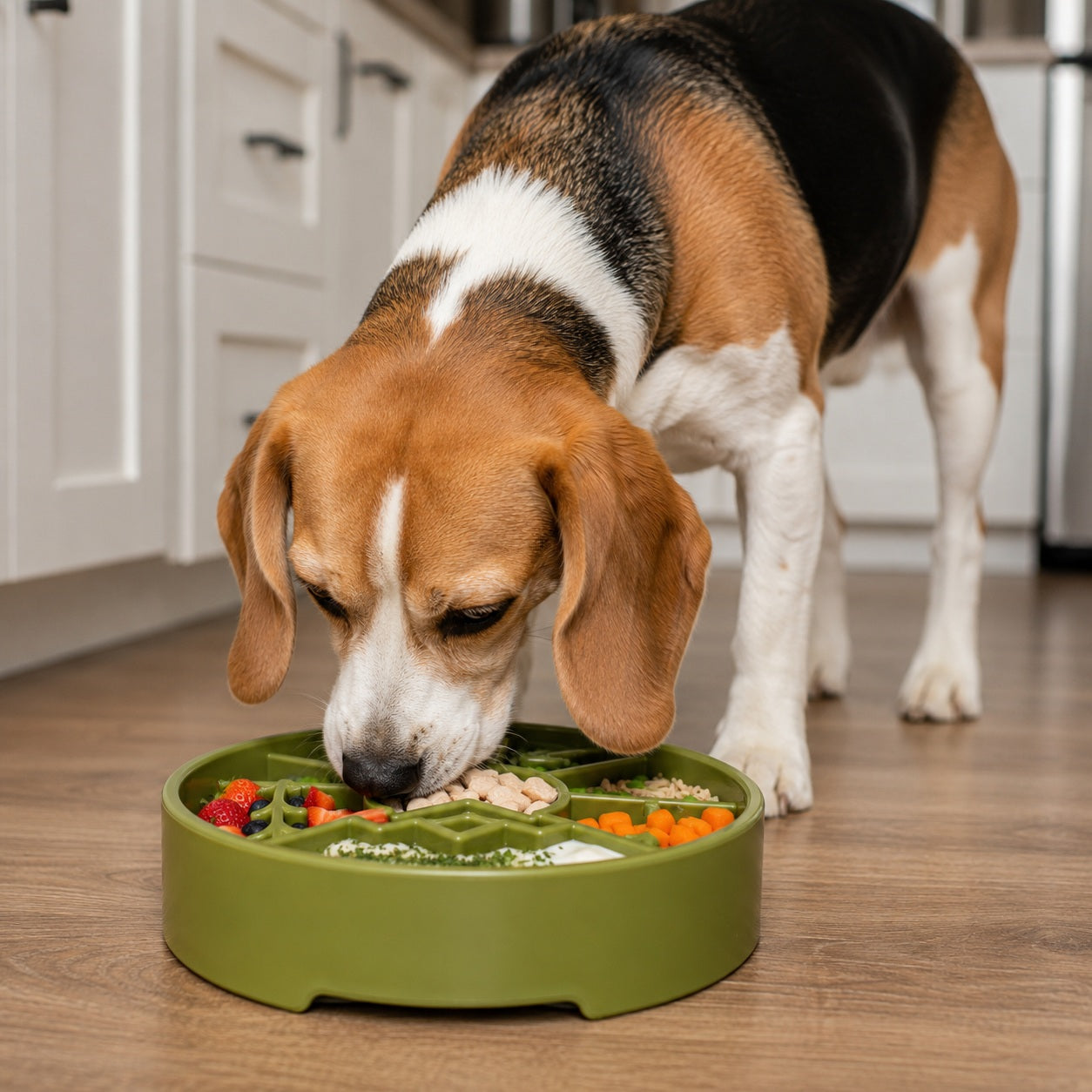 A beagle eats vegetables and meat from a green SodaPup Great Outdoors Design EBowl Enrichment Slow Feeder Bowl on a wooden kitchen floor, promoting healthy and slower eating.