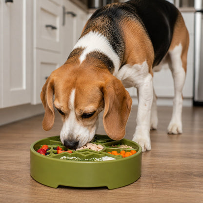 A beagle eats vegetables and meat from a green SodaPup Great Outdoors Design EBowl Enrichment Slow Feeder Bowl on a wooden kitchen floor, promoting healthy and slower eating.