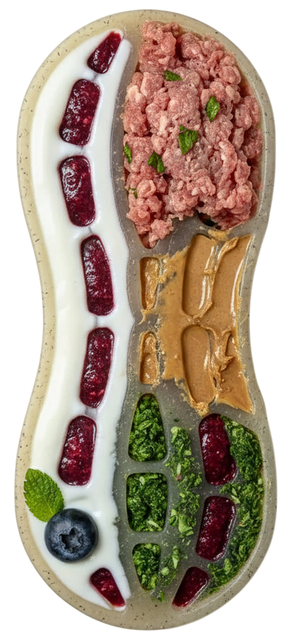 A divided, kidney-shaped platter holds raw ground meat, peanut butter, yogurt, berry puree, greens, a blueberry, and mint—an appealing display inspired by SodaPup’s Peanut EChew Ultra Durable Nylon Dog Chew Toy that curbs destructive chewing.