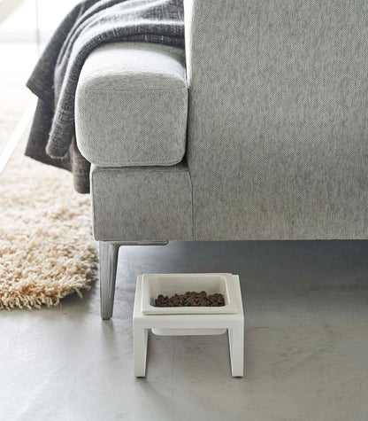 A Yamazaki Home Single Pet Food Bowl - Two Styles - Steel + Ceramic on the floor next to a couch.