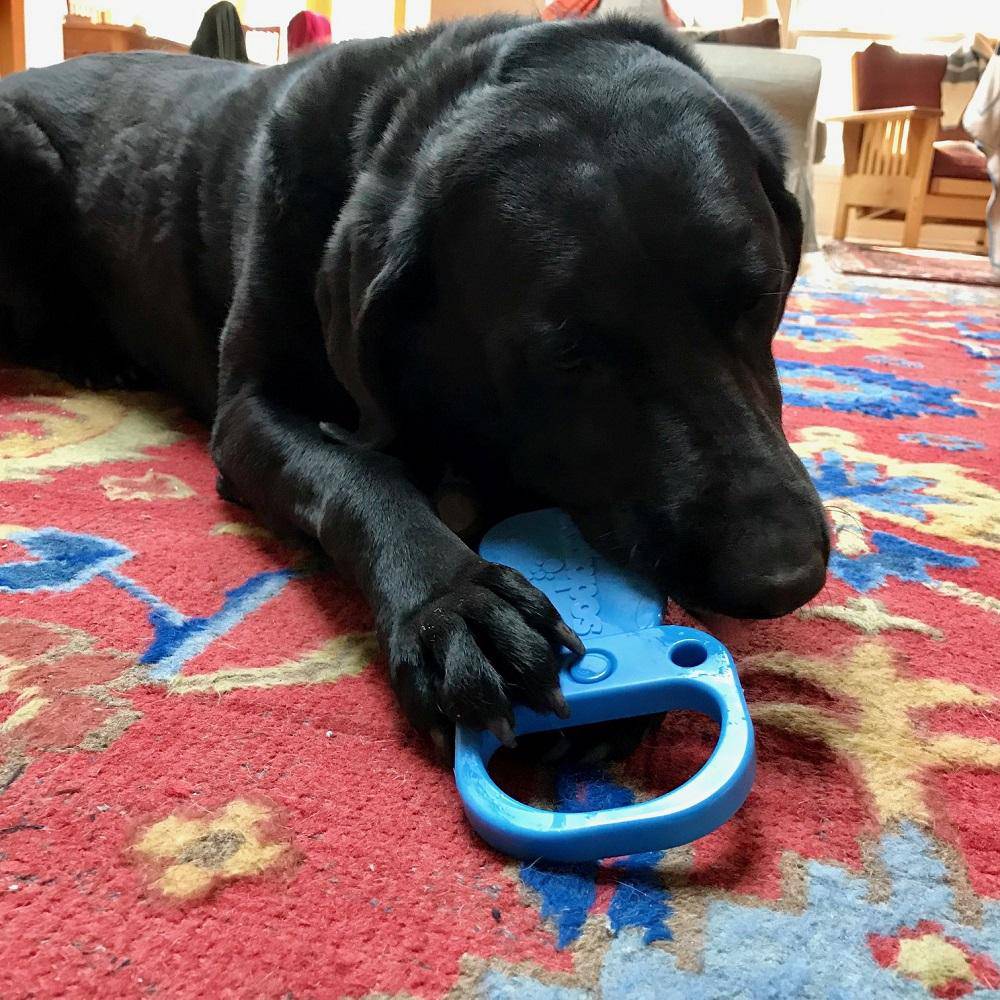 A black dog lounging on a rug with a Pop Top Pull Tab Ultra Durable Nylon Dog Chew Toy by SodaPup, perfect for power chewers.