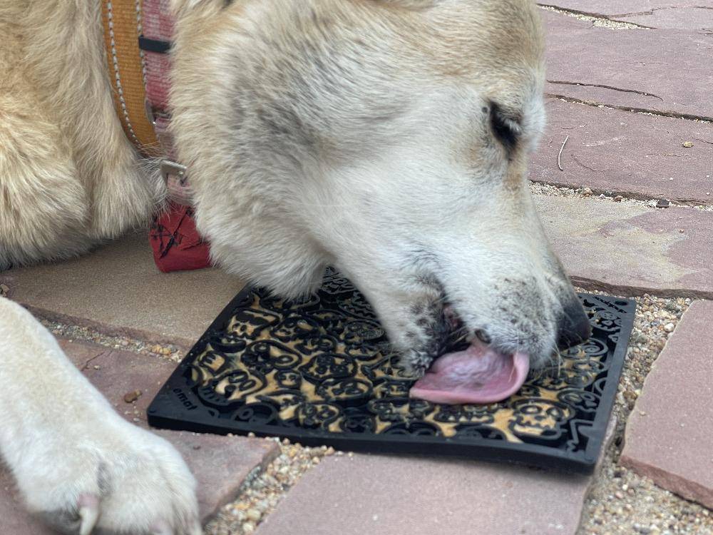 A dog is licking his tongue on a Zombie Design Emat Enrichment Lick Mat by SodaPup.