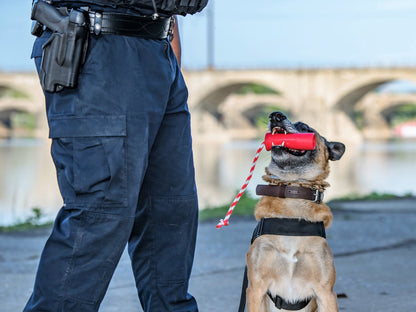 A police officer training with a SodaPup USA-K9 Firecracker Durable Rubber Floating Training Dummy - Large - Red.