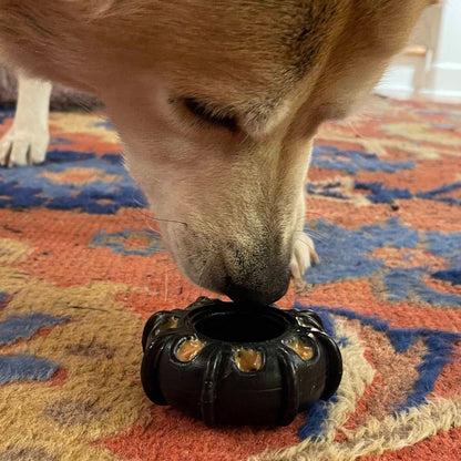 A dog intently sniffs the ID Tractor Tire EChew Ultra Durable Nylon Chew & Enrichment Toy by SodaPup, filled with treats, placed on a colorful rug.