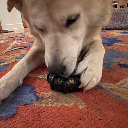 A dog is lying on a red patterned rug, chewing contentedly on the ID Tractor Tire EChew Ultra Durable Nylon Chew & Enrichment Toy by SodaPup, its paws holding it firmly in place. The dog appears focused and content.