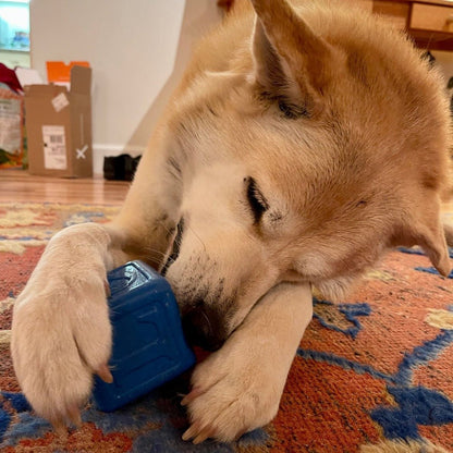 A tan dog lies on a colorful rug, playfully chewing on a SodaPup Love Cube EDispenser Durable Rubber Chew Toy & Treat Dispenser. Boxes are visible in the background.