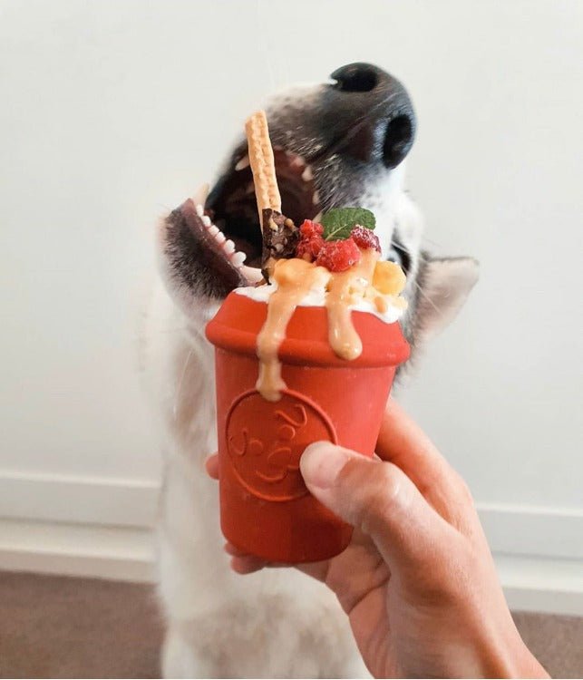 A dog eagerly attempts to devour a dessert that looks like a red plant pot, adorned with whipped cream, cookies, and fruits. The treat mimics the fun of playtime with its SodaPup Coffee Cup EDispener Durable Rubber Chew Toy as a hand holds the pot.