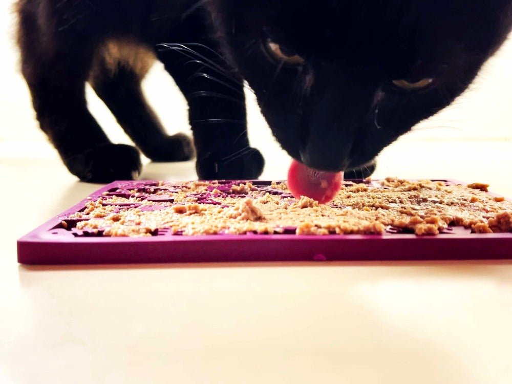 A black cat enjoying a SodaPup Fishy Design EMat Enrichment Lick Mat - Small with treats on a purple food tray.