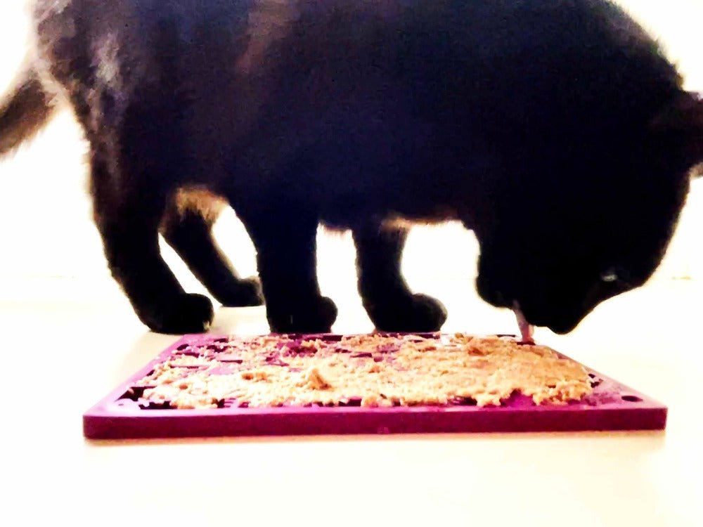 A cat is enjoying an enrichment activity by licking a Fishy Design EMat Enrichment Lick Mat - Small from SodaPup.