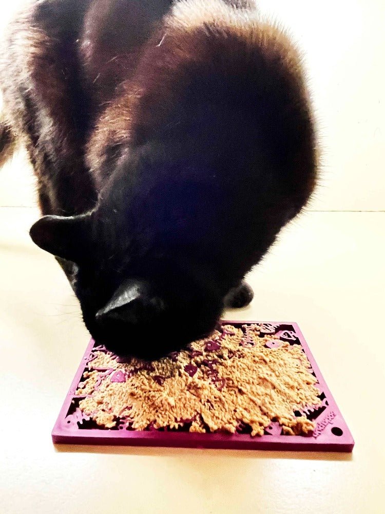 Cats are engaging in enrichment by using a SodaPup Fishy Design EMat Enrichment Lick Mat - Small to eat a piece of food on a plate.