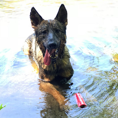 A German Shepherd dog enjoys a swim with the SodaPup USA-K9 Firecracker Durable Rubber Floating Training Dummy - Large - Red.