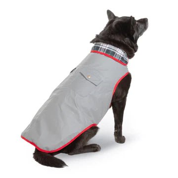 A dog wearing an Up Country reflective jacket for nighttime walks.