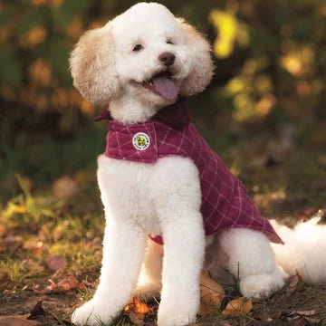 A dog wearing a Pink Tweed Coat by Up Country.