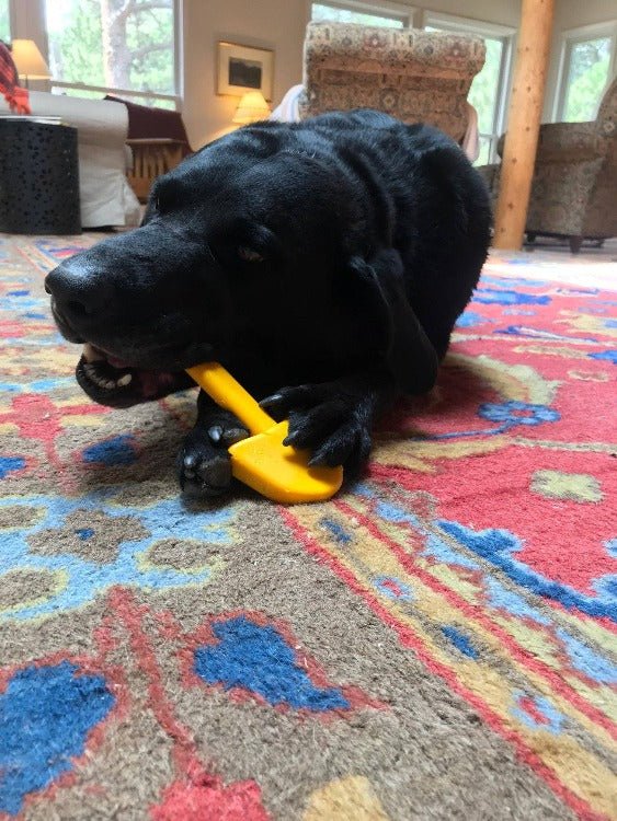 A black lab dog chewing on a SodaPup ID Shovel Ultra Durable Nylon Dog Chew Toy.