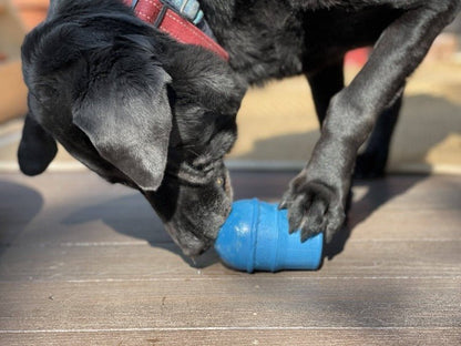 A black dog playing with a SodaPup Ice Cream Cone Durable Rubber Chew Toy and Treat Dispenser.