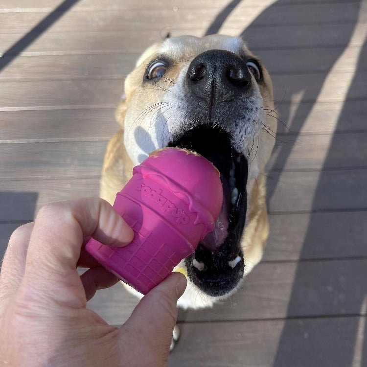 A dog chewing on a SodaPup Ice Cream Cone Durable Rubber Chew Toy and Treat Dispenser.