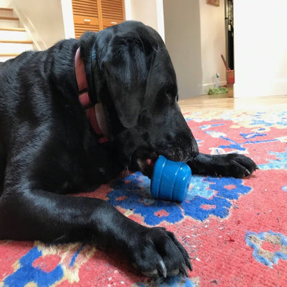 A black lab dog chewing on a SodaPup Space Capsule Durable Rubber Chew Toy & Treat Dispenser.