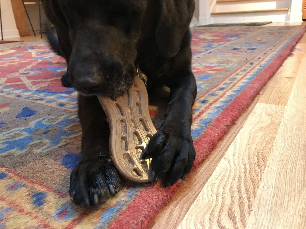 A black dog gnaws on the Peanut EChew Ultra Durable Nylon Dog Chew Toy by SodaPup, designed for power chewers and resembling a shoe insole. The scene is set with the dog lounging on a vibrant, patterned rug beside a wooden floor.