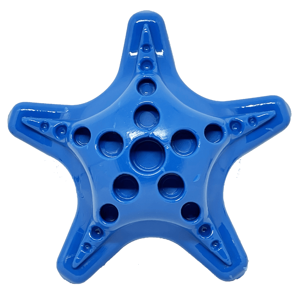 A Starfish Ultra Durable Nylon Dog Chew Toy for Aggressive Chewers shaped like a blue starfish with holes in it.