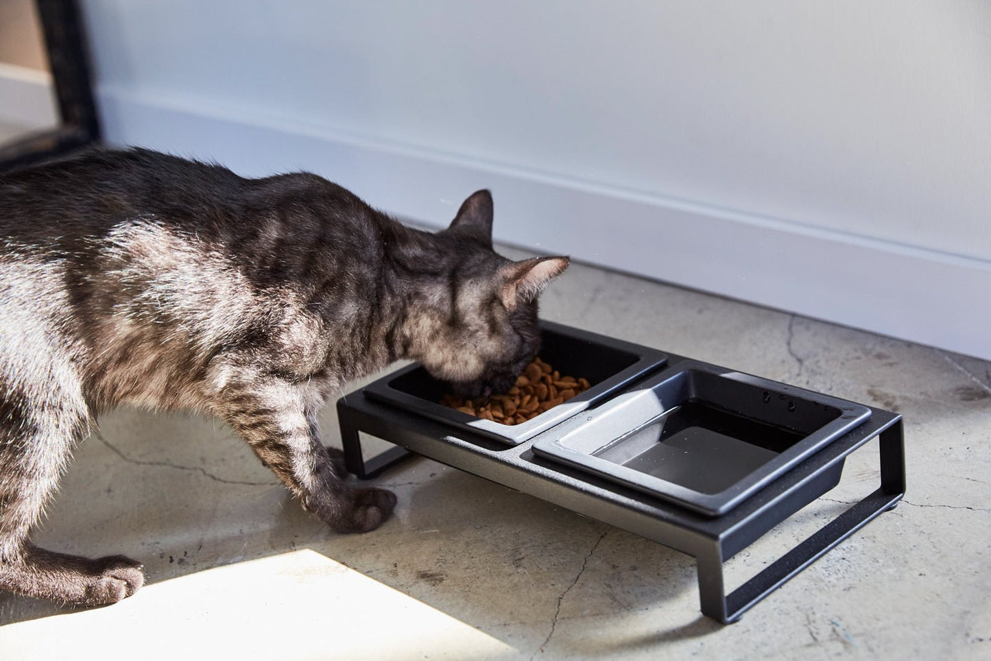 A gray cat eating from a black ceramic Yamazaki Home pet food bowl.