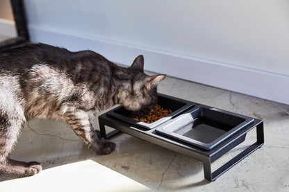 A gray cat eating from a black ceramic Yamazaki Home pet food bowl.